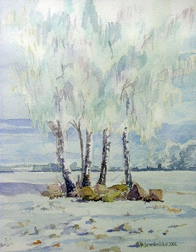 Sierdzińska Joanna "Brzozy zimą"