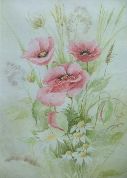 Maksymow "Maki i rumianki"