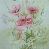 Maksymow "Maki i rumianki"